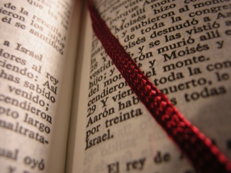 spanish-language-bible-with-bo-1510266-1280x960
